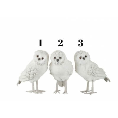 SOWA BIAŁA 3